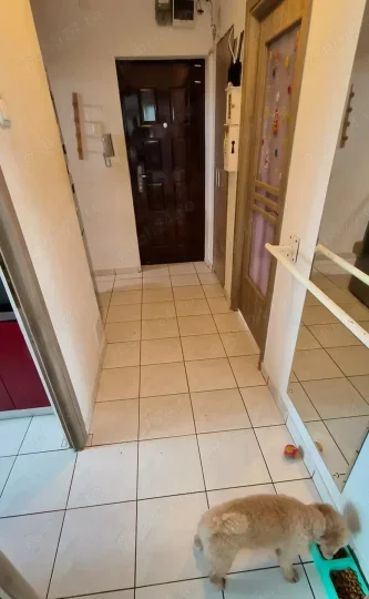 Alexandru Obregia strada Dorohoi apartament 2 camere confort 1